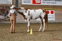 23-APHA SS_036